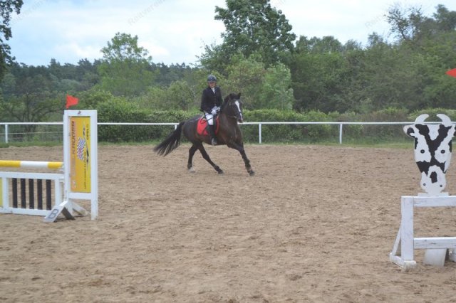 reitertag 2013 55